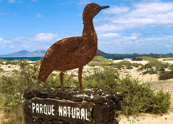 Ivory Ocean Corralejo
